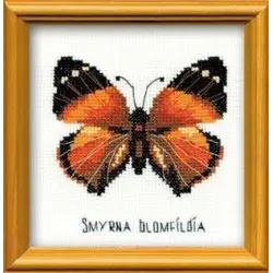 Nymphalidae Butterfly HB094