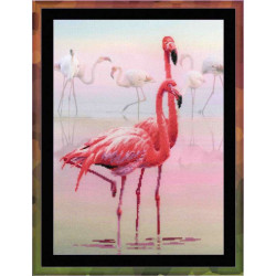 Flamingo 0012 PT