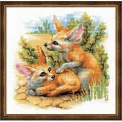 Desert Foxes 1636