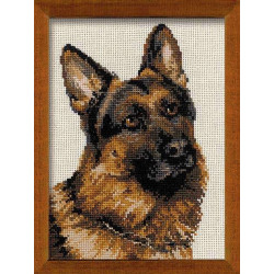 German Shepherd 1068