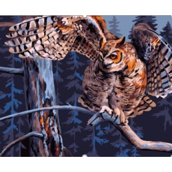 Wizardi painting by number kit. Night Owl 40x50 cm T028