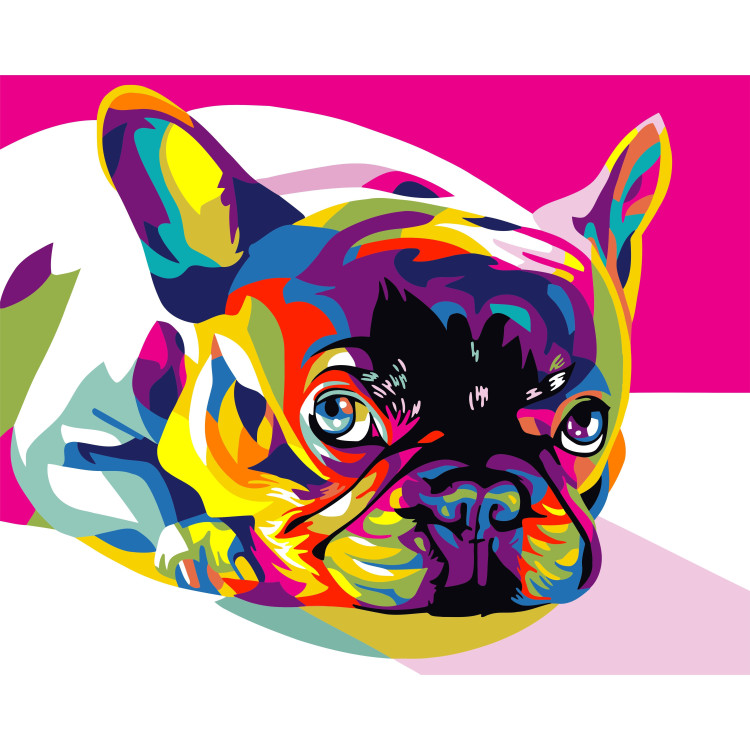 Wizardi painting by number kit. Rainbow french bulldog 40x50 cm T080