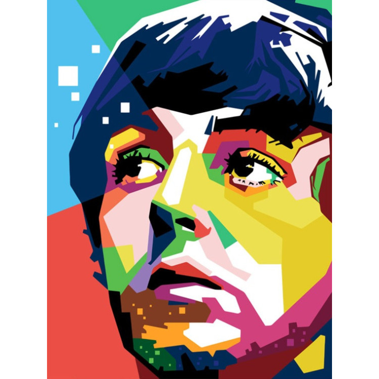 Painting by Numbers Paul McCartney 50x40 cm T50400022