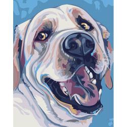 Painting by Numbers Labrador 16.5x13 cm T16130083