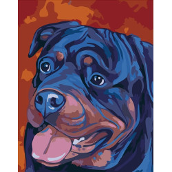 Painting by Numbers Rottweiler16.5x13 cm T16130087