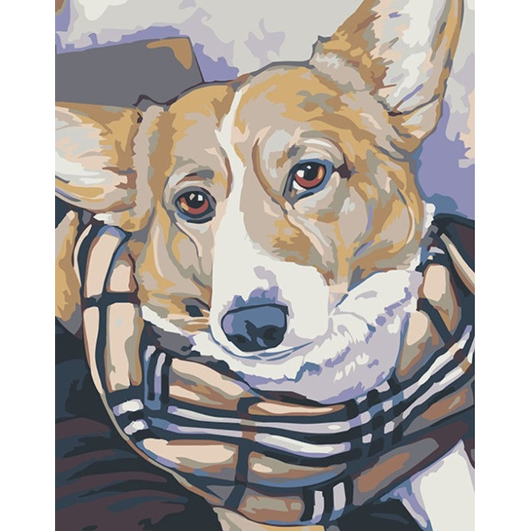 Painting by Numbers Welsh Corgy 16.5x13 cm T16130092