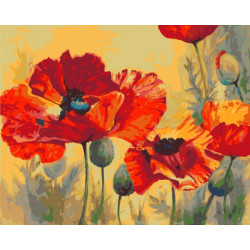 Paint by Numbers Kit Field Poppies T40500010