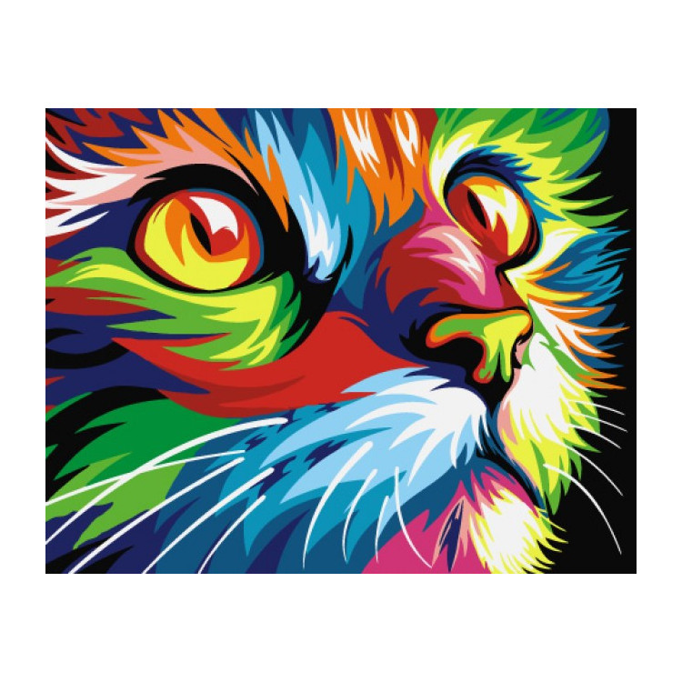 Paint by Numbers Kit Rainbow Cat T16130008