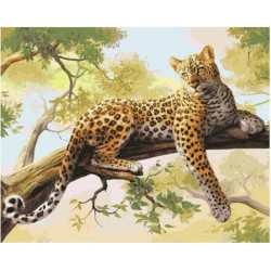 Paint by Numbers Kit Leopard 40x50 cm T40500122