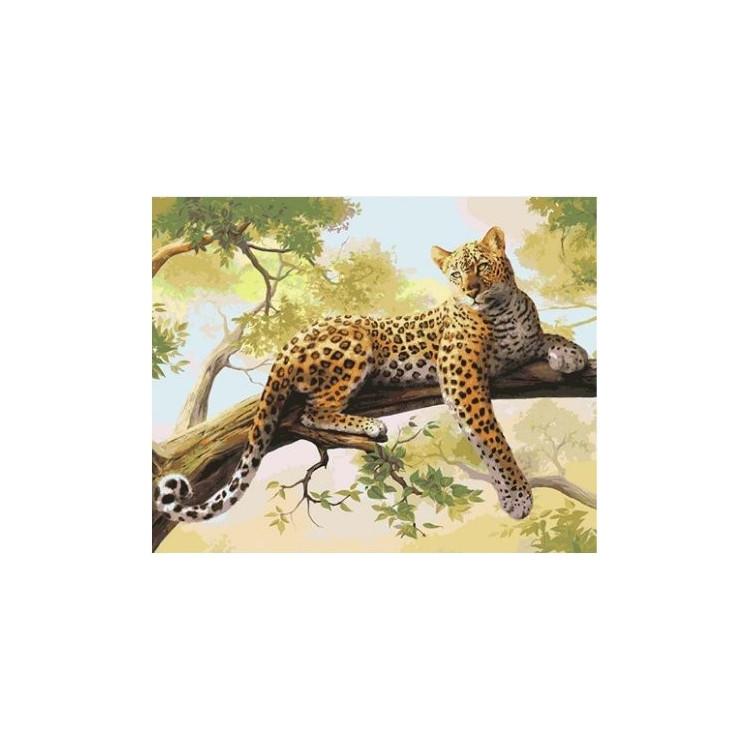 Paint by Numbers Kit Leopard 40x50 cm T40500122