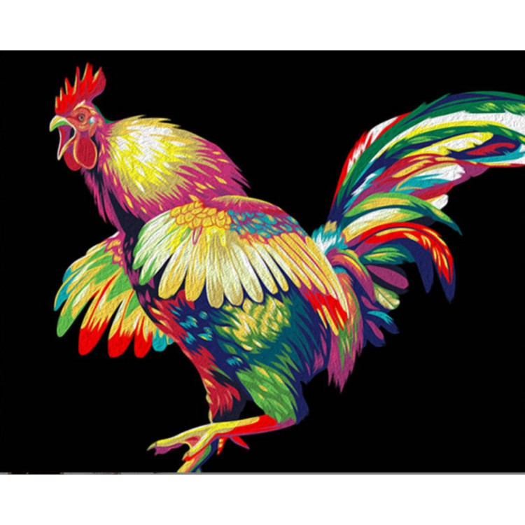 Paint By Numbers Kit Rainbow Rooster T40500163