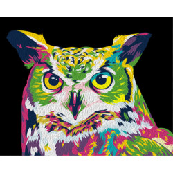 Painting by Numbers Rainbow Owl 50x40cm T40500166