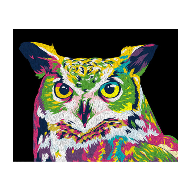 Painting by Numbers Rainbow Owl 50x40cm T40500166