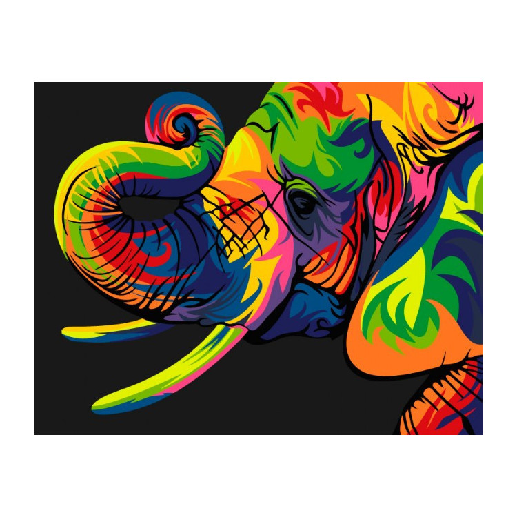 Paint by Numbers Kit Rainbow elephant T16130032