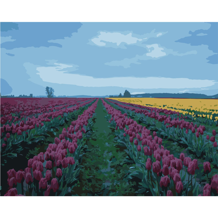 Wizardi Painting by Numbers Kit Tulip Field 40x50 cm T40500317