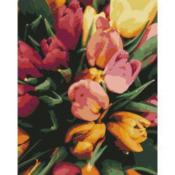 Wizardi Painting by Numbers Kit Tender Tulips 40x50 cm T40500339