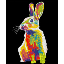 Painting by Numbers Rainbow Rabbit 50x40cm T50400162