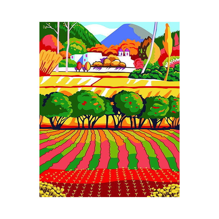 Paint by Numbers kit Rainbow Field 50x40 cm T50400195