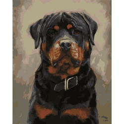 Painting by Numbers kit Rottweiler 50x40cm T50400254