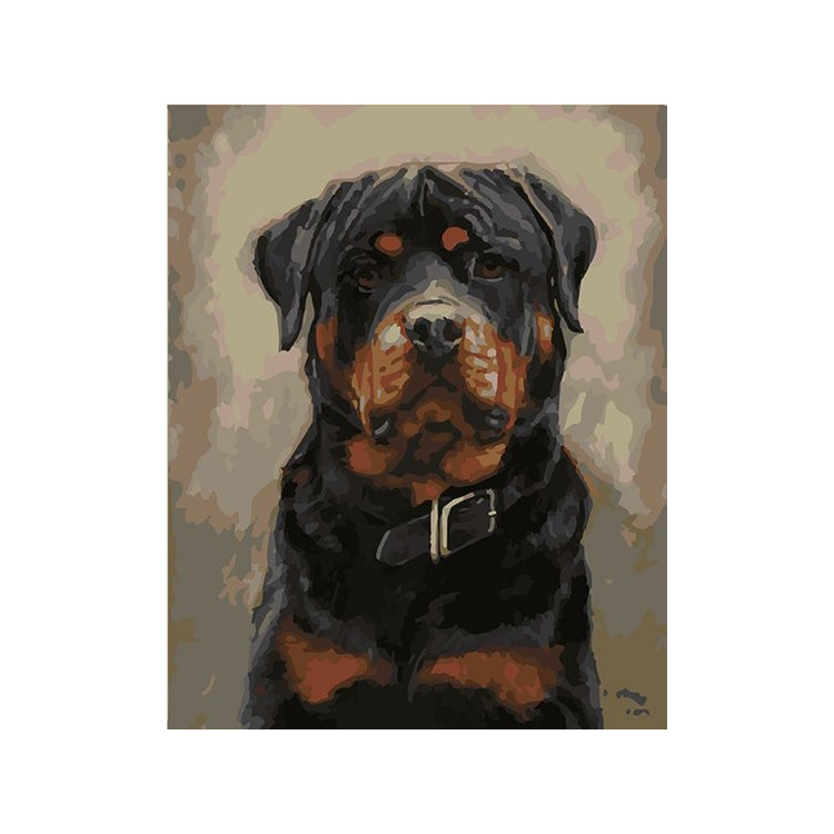 Painting by Numbers kit Rottweiler 50x40cm T50400254