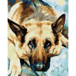 Painting by Numbers kit German Shepherd 50x40cm T50400263