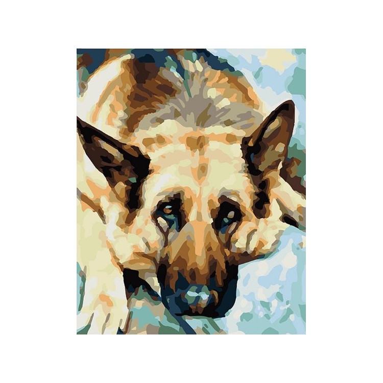 Painting by Numbers kit German Shepherd 50x40cm T50400263