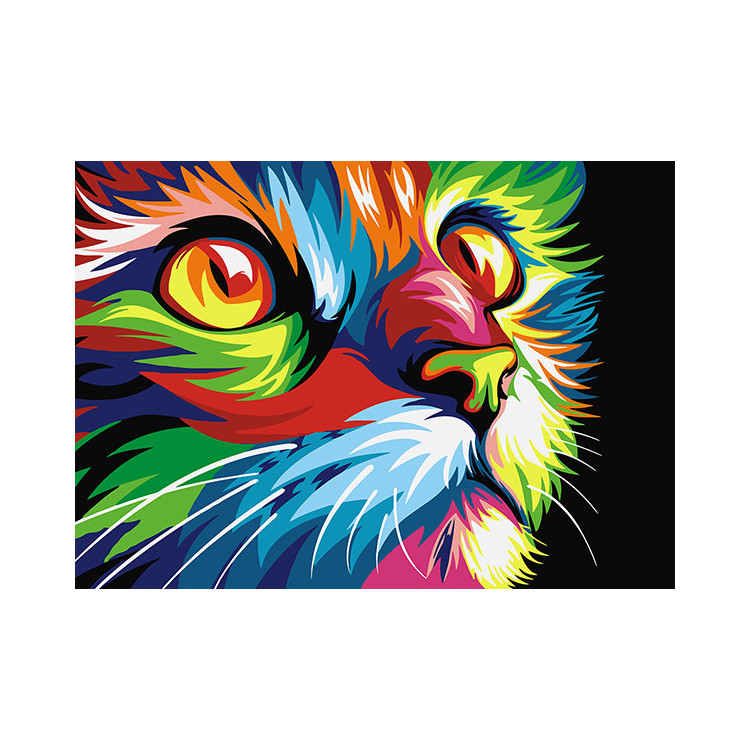 Painting by Numbers Rainbow Cat A4 29,7x21cm TA40108