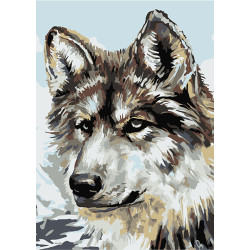 Painting by Numbers Wolf A4 29,7x21cm TA40117