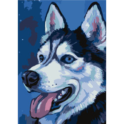 Painting by Numbers Husky A4 29,7x21cm TA40126