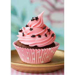 Pink Cupcake WD042