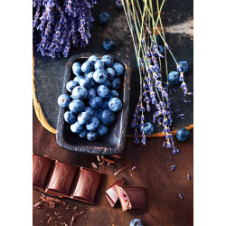 Chocolate and Blueberries WD046