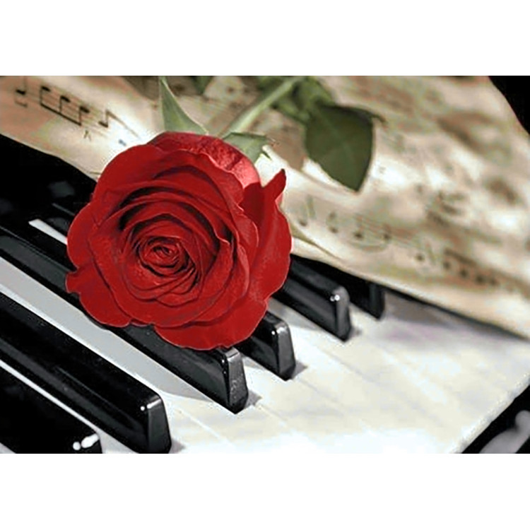 Rose Music WD053