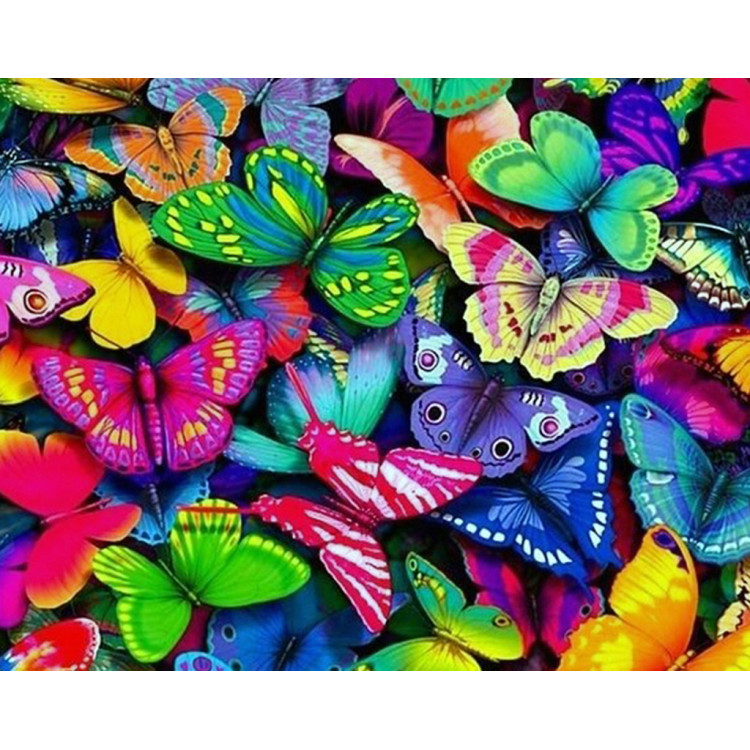 Rainbow Butterflies WD057