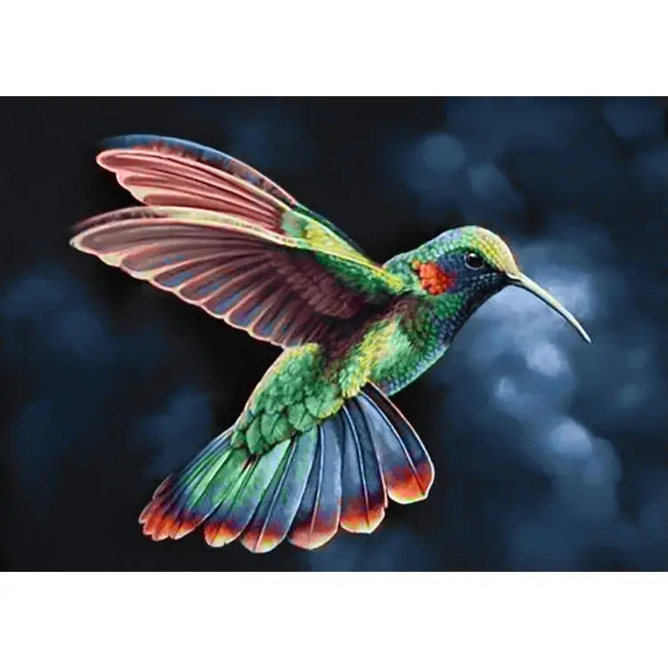 Tropic Bird 38*27 cm WD058 Tropic Bird 38*27 cm WD058