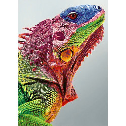 Iguana 27*38 cm WD065