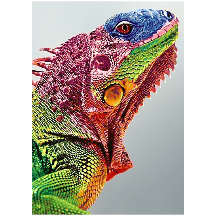 Iguana 27*38 cm WD065