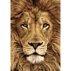 Lion 20*30 cm WD068