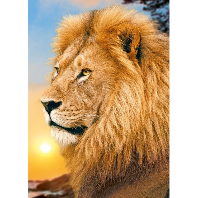 Lion King 27*38 cm WD070