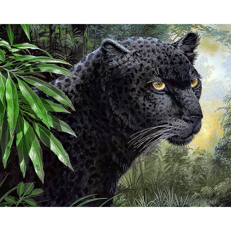 (Discontinued Copyright) Panther 48*38 cm WD072