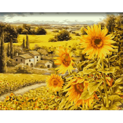 WIZARDI PAINTING BY NUMBER KIT. SUNLIT FIELDS 40X50 CM A149