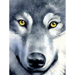 Wolf Look WD2361