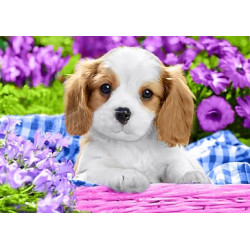 Dog in Purple Flowers WD2451