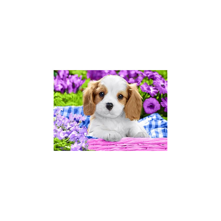 Dog in Purple Flowers WD2451