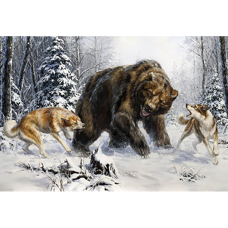 Huskies and Bear 100х68 cm WD2456