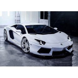 Lamborghini 48 х 38  cm WD254