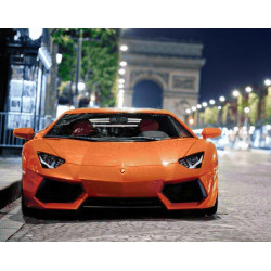 Sports Car 48 х 38 cm WD255