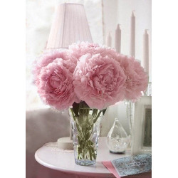 Soft Peonies 27*38 cm WD002