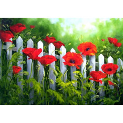 Garden Poppies 38*27 cm WD008