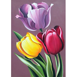 Tulip Aroma WD021