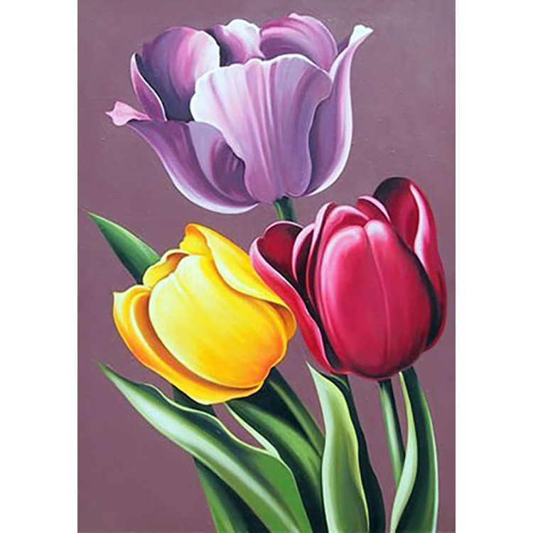 Tulip Aroma 27*38 cm WD021